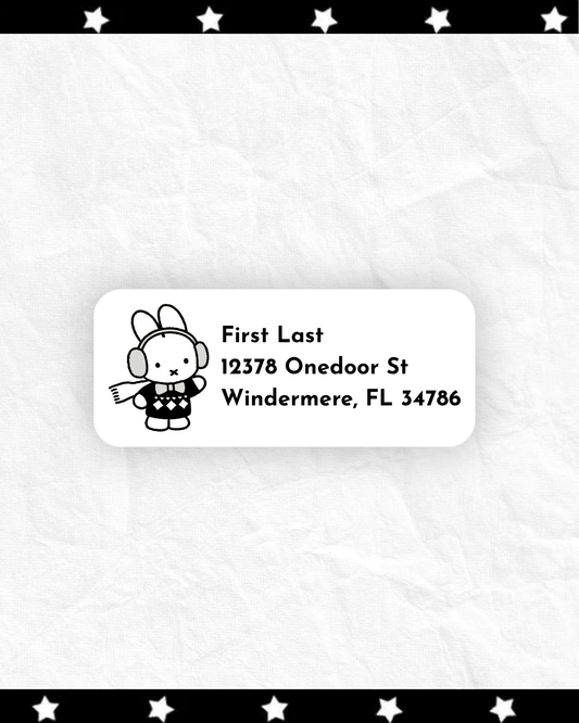 Address labels ⊹ ࣪ ˖